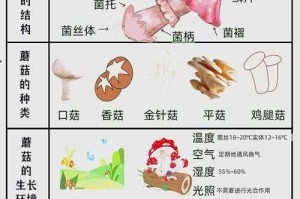 梦幻西游蘑菇玩法