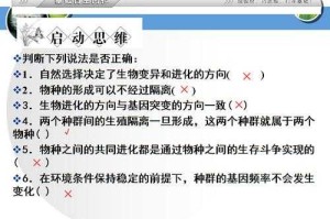 符文经济革新驱动职业进化与装备创新