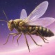 梦幻西游蝗虫最新动向攻略 最新动向，蝗虫，刷新