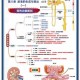 生理机制解析，生理机制解析，多维度调控网络与疾病关联性研究