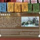 梦幻西游蝴蝶泉打化石怎么打，蝴蝶泉，化石 蝴蝶泉