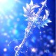 梦幻西游自创武魂