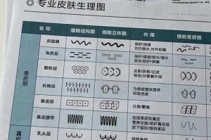 皮肤桥定义解析：探究其医学含义与特征