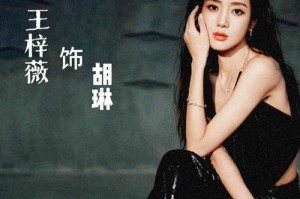 王梓薇个人背景与事业成就，王梓薇，个人背景与事业成就全解析