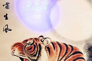 梦幻西游虎啸生风值