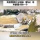 阿坝旅游车坠河案深度调查，生命之殇背后的警示，阿坝旅游车坠河事故深度调查，血泪警示录与安全突围之路