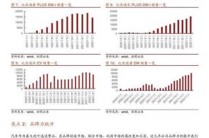 （分析报告）