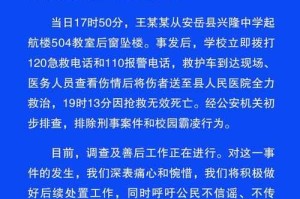 事件背景与通报核心，事件背景与通报核心，深度解析与关键要点