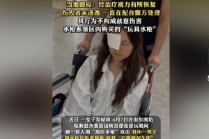 一、事件经过与游客伤情，事件经过与游客伤情概述