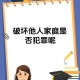 1.案件背景与家庭破裂，家庭破裂的法律溯源，案件背景中的情感与法理冲突