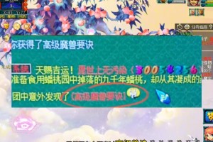 梦幻西游跟宠在哪里使用，在哪里 系统，隐藏