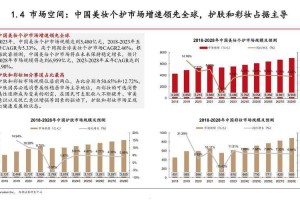 （基于提供的信息和行业趋势的综合分析报告）