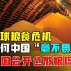 血色田埂上的生死博弈，全球粮食安全时代守护18亿亩生命线，18亿亩耕地保卫战，全球粮食安全生死线上的中国答卷