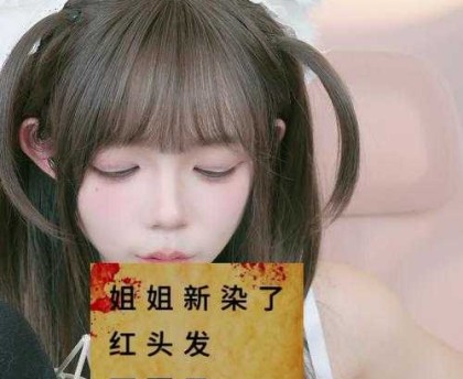 梦幻西游蓝紫双马尾，双马尾，发型 发型