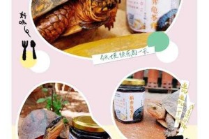 龟苓膏无活龟2025新规真相