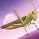梦幻西游蝗虫取名大全 蝗虫，取名 西游