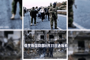 俄乌冲突最新局势分析：11月5日动态更新报告