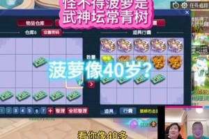 梦幻西游菠萝威胁指挥怎么打，西游，菠萝，威胁