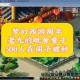 梦幻西游老九视频大全播放