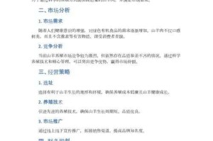 根据提供的信息，该商业计划书存在以下优化空间及专业建议：