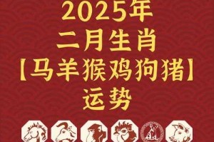 2025符影实战数据全解析