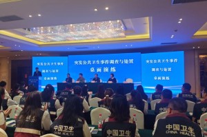 事件背景与初步调查，事件背景与初步调查，关键进展与真相溯源