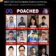 硅谷AI人才争夺战现状，头部企业年投入超百亿美元，硅谷AI人才百亿争夺战，头部企业年投入激增