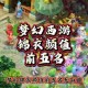 梦幻西游谁比较有名气