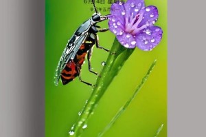 梦幻西游蝗虫图片高清壁纸 高清 蝗虫 壁纸