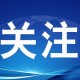 事件背景与公众关注，事件背景与公众关注，XXX事件中的舆论动态与社会反响