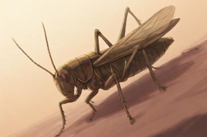 梦幻西游蝗虫等级排名，蝗虫，西游 等级