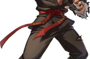 dnf男柔道和散打