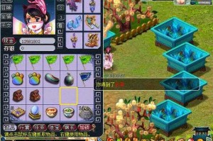 梦幻西游花盆放多少盆 西游 系统，花盆