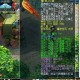 梦幻西游血攻还是须弥攻