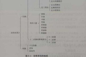 大唐套装经脉点亮攻略：如何正确配置经脉点？全面指南为您解答
