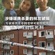 事件回顾，暴力引发严重后果的警示案例，暴力之殇，典型案例背后的警示与反思