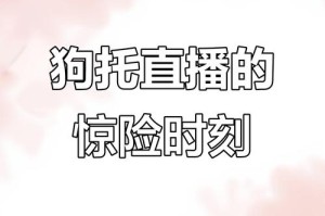 梦幻西游蔡浩浩在哪直播 直播，浩浩 西游