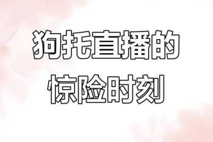 梦幻西游蔡浩浩在哪直播 直播，浩浩 西游