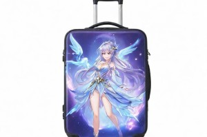梦幻西游行李箱外观，箱子 行李箱 游戏