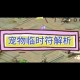 梦幻西游解除归隐状态要多久 解除，归隐，解除