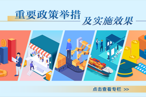 政策背景与实施时间，政策背景与实施时间，关键要素解析
