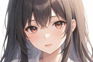 如何找到并进入官网的12123登录入口？