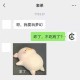 梦幻西游表弟说秋莎的话