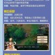 梦幻西游跑机缘的最佳策略是什么 机缘，触发 是什么
