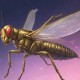 梦幻西游蝗虫排行表最新 排行表 蝗虫 脚本