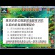 梦幻西游联赛符保存会取消吗，西游，联赛，取消