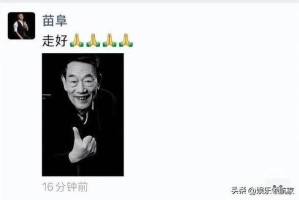 1.背景回顾，杨少华的职业生涯与逝世，杨少华职业生涯与逝世，一代艺术家的生命轨迹