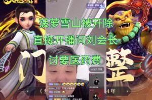 梦幻西游菠萝小王攻略