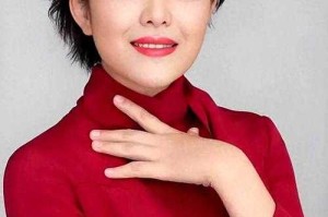 好的，我现在需要处理用户的这个请求，帮他写一篇关于王宁上半年赚去年全年钱的文章。首先，我得仔细分析用户的具体要求，确保不遗漏任何细节，王宁2023上半年收入超2022全年创纪录，半年业绩突破全年总和引行业关注