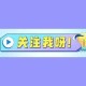 事件背景与公众关注，事件背景与公众关注，XXX事件的多维度透视